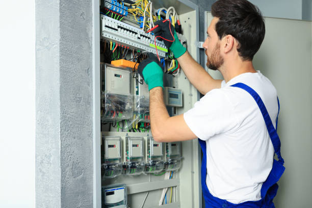 Best Affordable Electrician  in Long Neck, DE